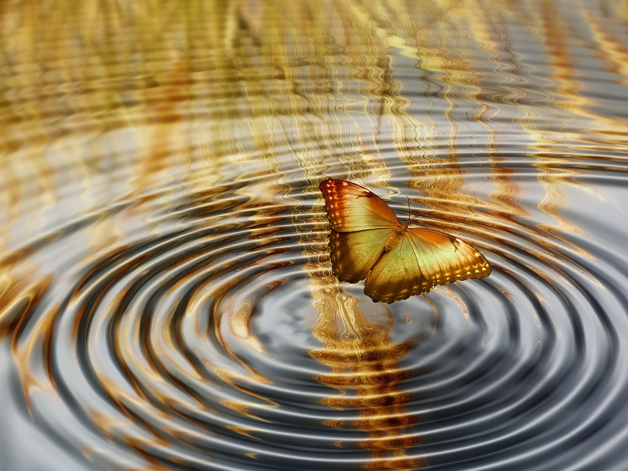 最新章节的魅力，奇幻之旅的深入探索
