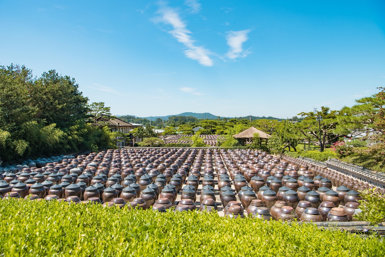 冷眸苍凉 第10页